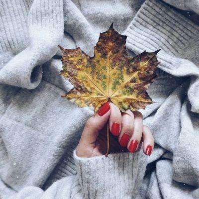 万博全站官网app最新版下载