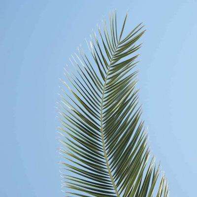 万博手机版max网页版(中国)官方网站app下载